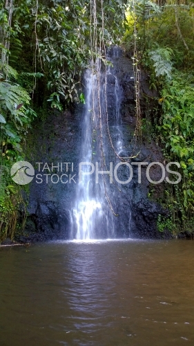 Tahiti, Cascade naturelle dans la forêt tropicale