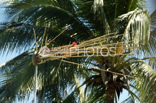 Cible et lancer de javelots traditionnels