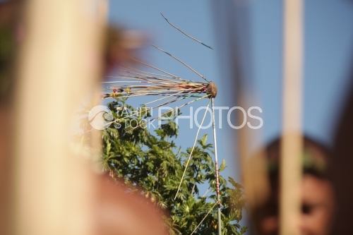 Javelots plantés dans la cible