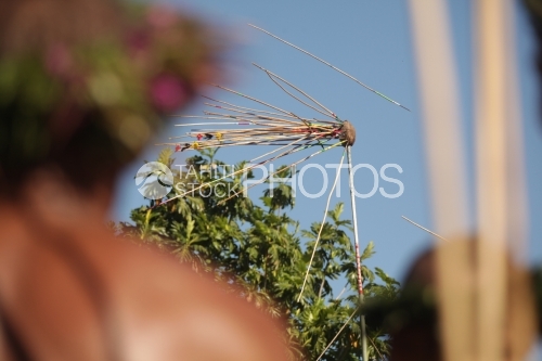 Tahitien regardant la cibles et les javelots plantés pendant le Heiva