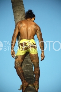 Tahitien en pareo grimpant un cocotier