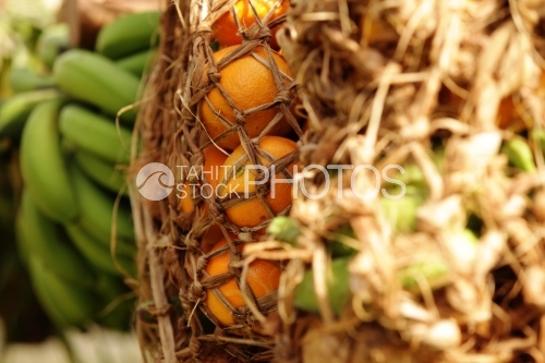 Fruits tropicaux dans un panier