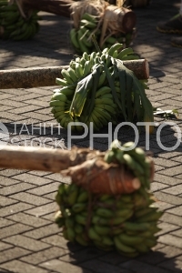  Régime de Bananes de la course des porteurs de fruits à Tahiti