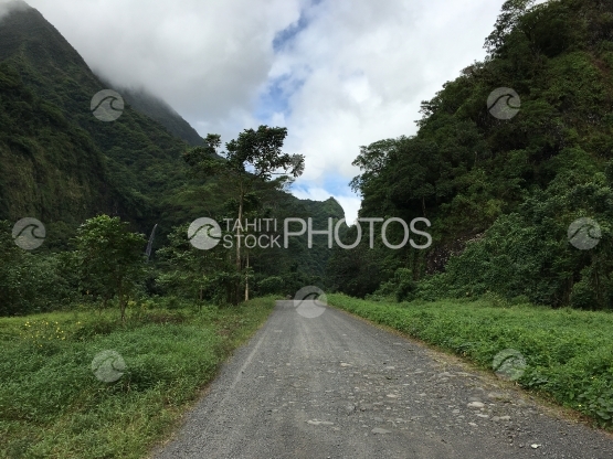 Tahiti, Paysage de la vallée de Papenoo, sur la piste
