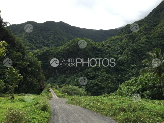 Tahiti, Paysage de la vallée de Papenoo