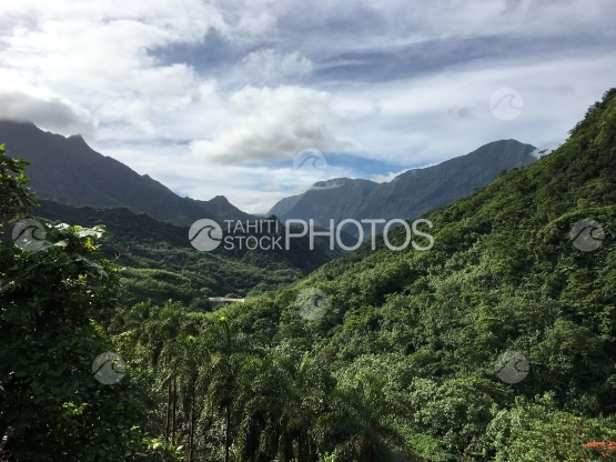Tahiti, Paysage de la vallée de Papenoo et des montagnes