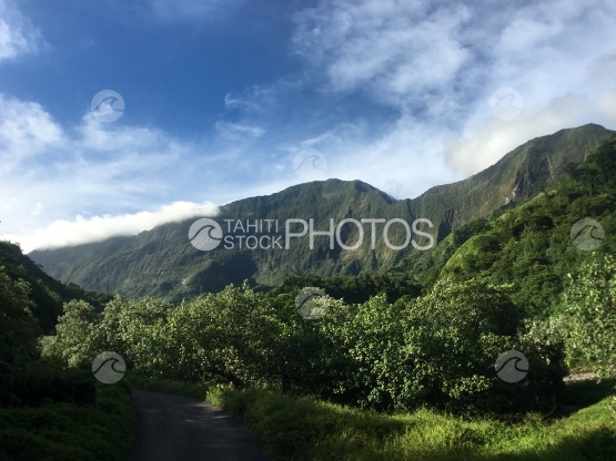 Paysage de la vallée de Papenoo