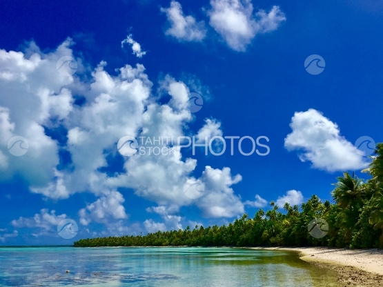 Tetiaroa, Plage de Motu Rimatu près de la cocoteraie