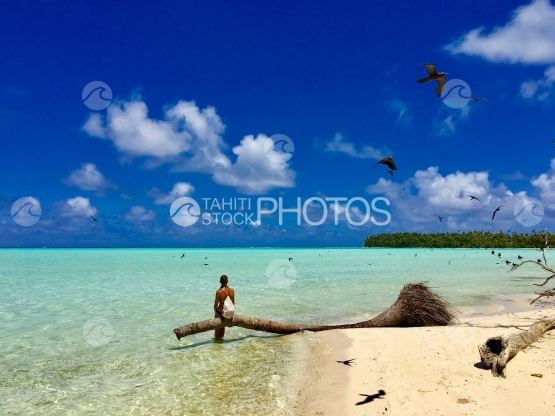 Jeune femme assise sur un palmier sous les oiseaux en vol