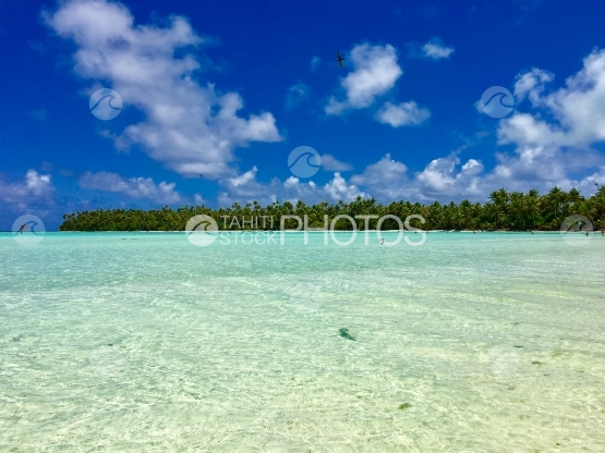 Tetiaroa, lagon et Motu Rimatu
