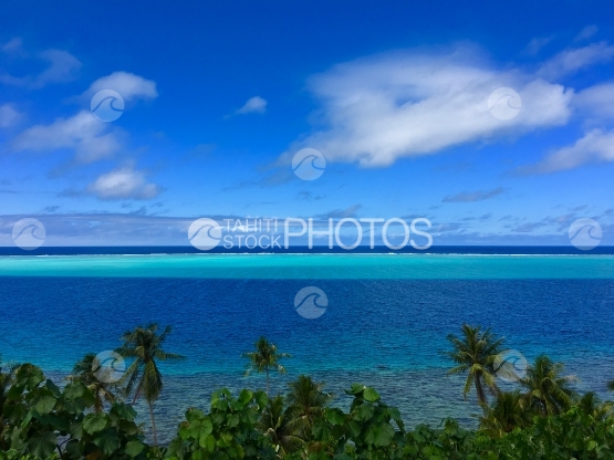 Huahine, vue sur le lagon bleu et turquoise au dessus des cocotiers