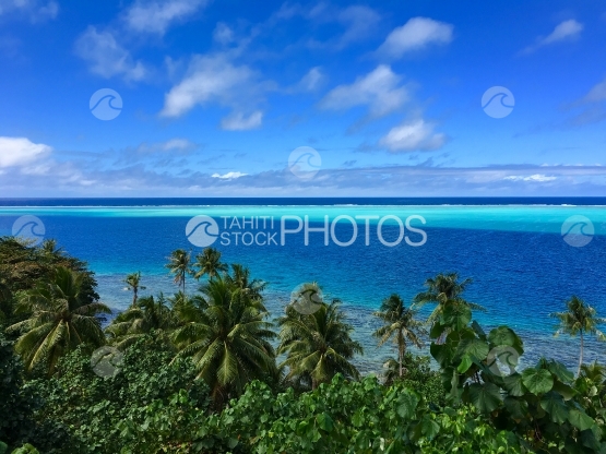 Huahine, vue sur le lagon bleu et turquoise au dessus des cocotiers