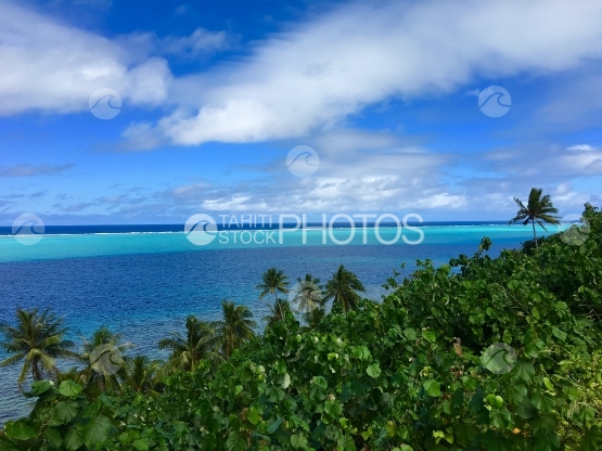Huahine, vue sur le lagon bleu et turquoise au dessus des cocotiers