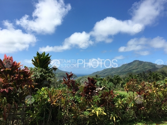 Paysage typique sur Tahaa