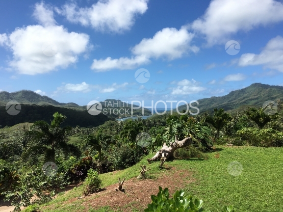 Paysage typique sur Tahaa