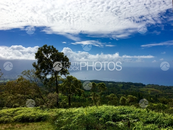 Tahiti iti, Vue depuis le plateau de Taravao sur la mer
