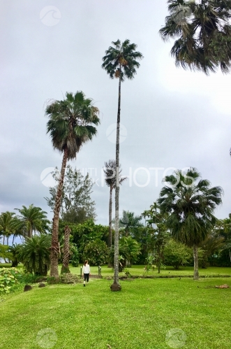 Tahiti, Femme marchant dans le jardin botanique de Tahiti