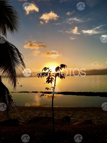 Moorea, coucher de soleil sur le lagon