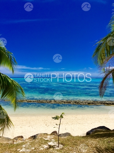 Moorea, plage de sable blanc le long des eaux turquoises du lagon