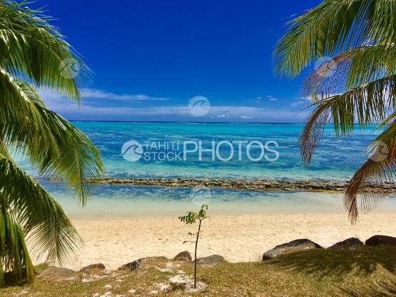 Moorea, rivage lagonaire et plage de sable blanc