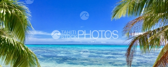 Moorea, vue panoramique du lagon entre les cocotiers