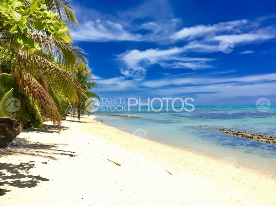 Moorea, plage de sable blanc près du rivage lagonaire