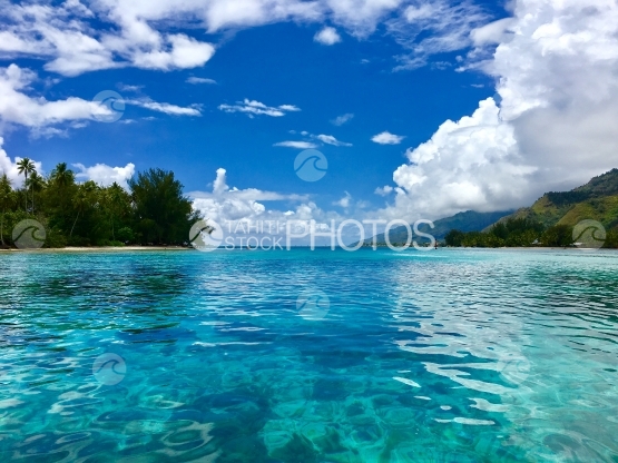 Lagoon of Moorea