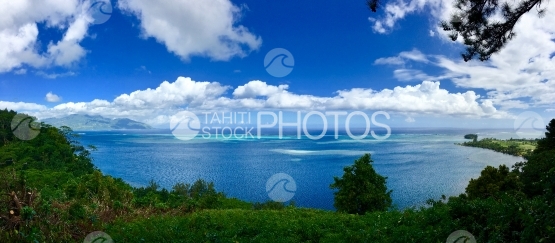 Vue depuis le point de vue au dessus du jardin botanique de Vaipahi
