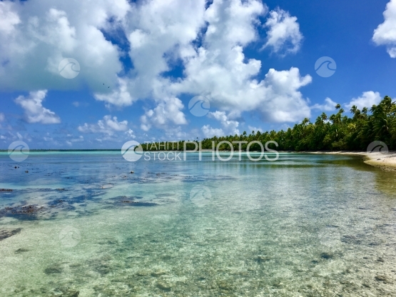 Atoll de Tetiaroa, Plage de sable blanc et sa cocoteraie