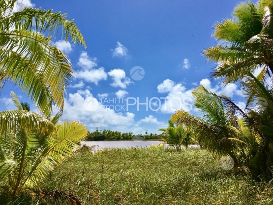 Motu Rimatuu dans le lagon de Tetiaroa