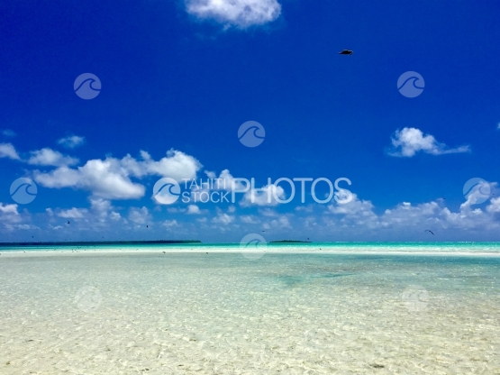Oiseaux dans le ciel au dessus du lagon de Tetiaroa