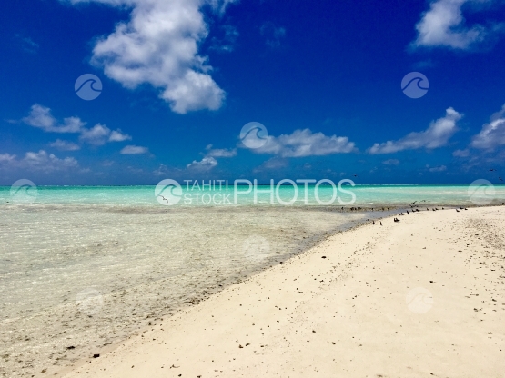 Atoll of Tetiaroa adn white sand beach