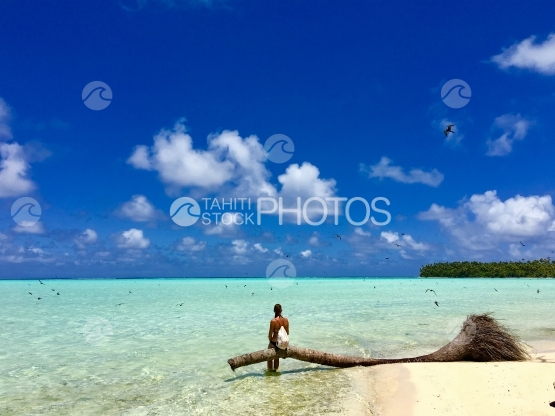 Jeune femme assise sur un tronc d arbre, lagon de Tetiaroa