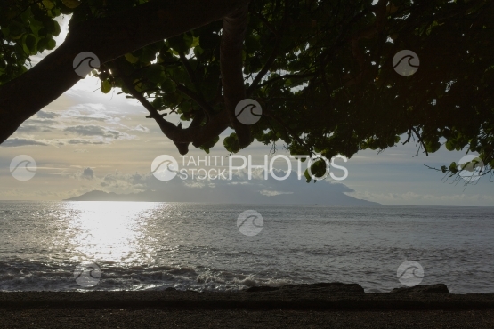 Coucher de soleil sur Moorea, sous  les arbres