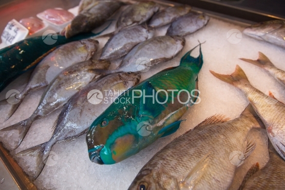 Marché de Papeete, étale de poissons