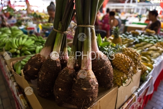 Taro local à vendre sur le marché de Papeete