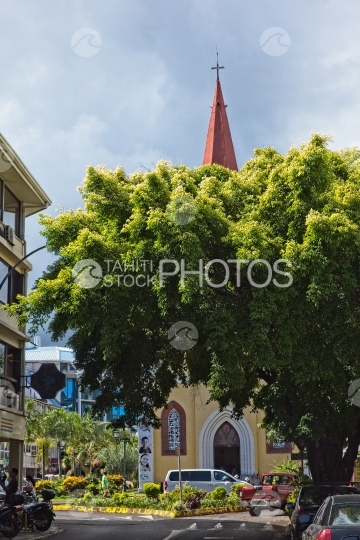 Tahiti, Cathérale de Papeete derrière un gros arbre dans la rue