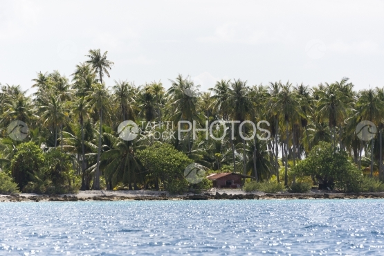 Cabane au bord du lagon, atoll des tuamotus