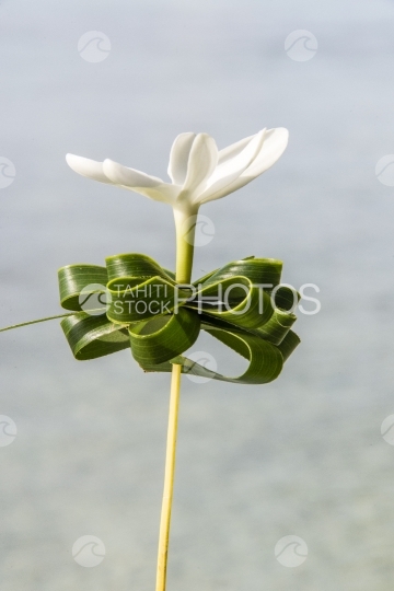 Tiare Tahiti, fleur ornée de feuilles tressées
