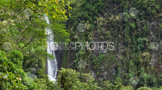 Tahiti, Cascade au mileieu de la végétation