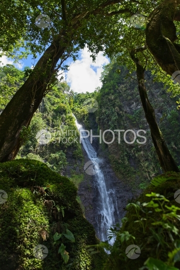 Tahiti, Cascade vue entre les arbres
