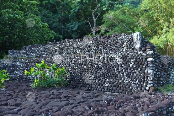 Tahiti Marae Arahurahu de Paea