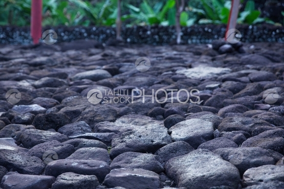 Tahiti Marae Arahurahu de Paea