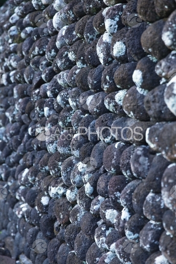 Tahiti Marae Arahurahu de Paea