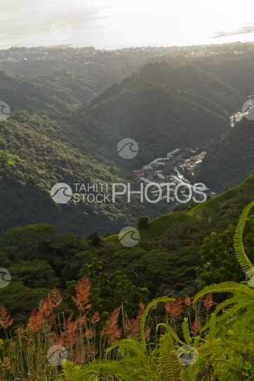 Tahiti, vallée de Titioro