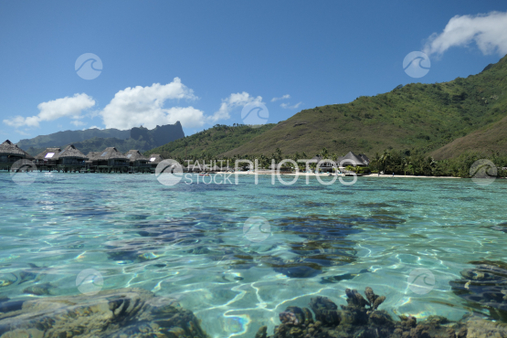 Coast line of Moorea