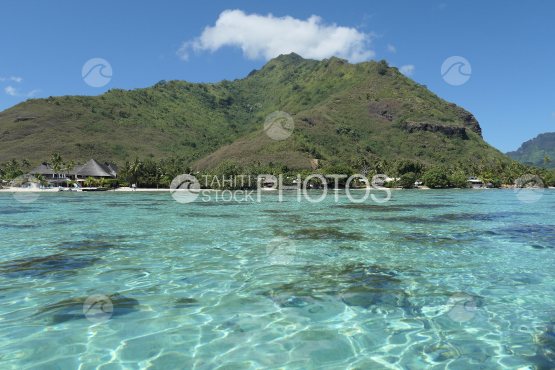 Coast line of Moorea
