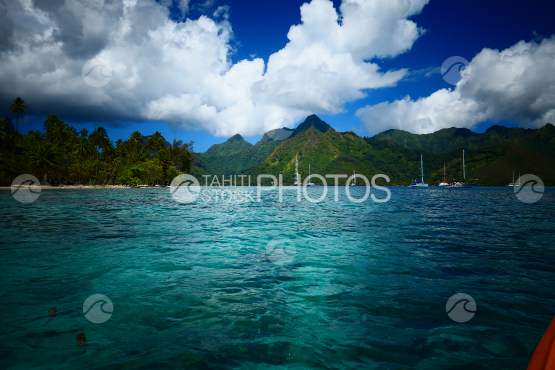 Coast line of Moorea
