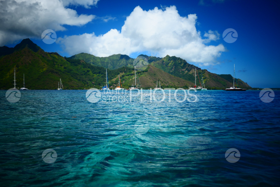 Coast line of Moorea