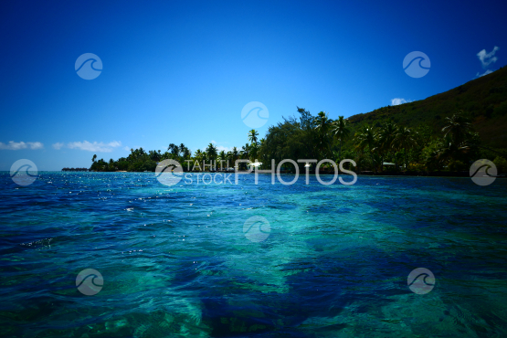 Coast line of Moorea